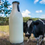 Dairy farmers are enraged after milk processes announce about a 10 per cent drop in the offering price.