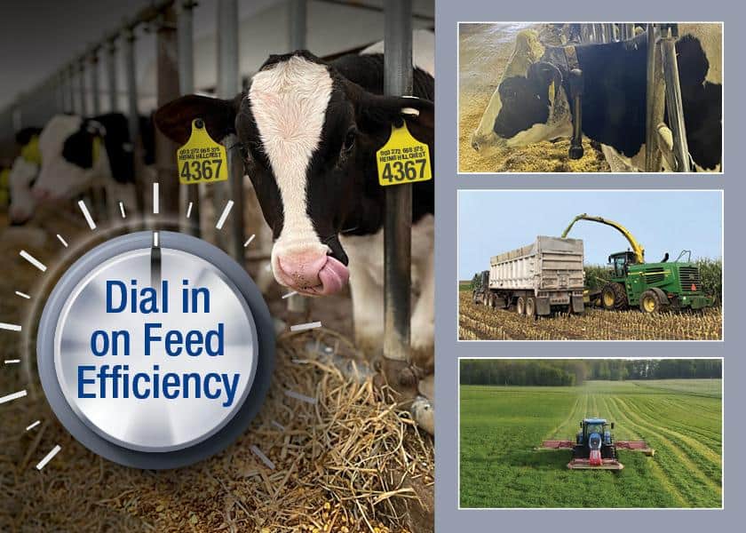 Dial in on Feed Efficiency