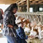 Farmers across America forced to dump their milk