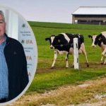 Fear and uncertainty' among Donegal dairy farmers over cow cull