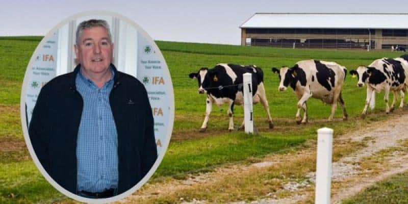 Fear and uncertainty' among Donegal dairy farmers over cow cull