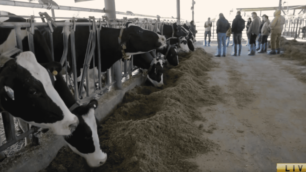 HolsteinUSA establishes easy-to-access tech lab to drive dairy innovation