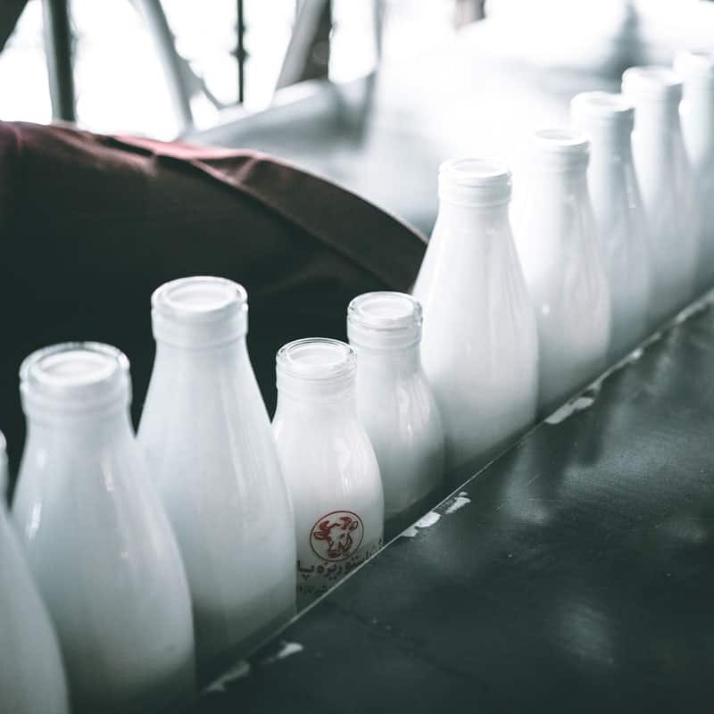 How China’s dairy industry is addressing climate change