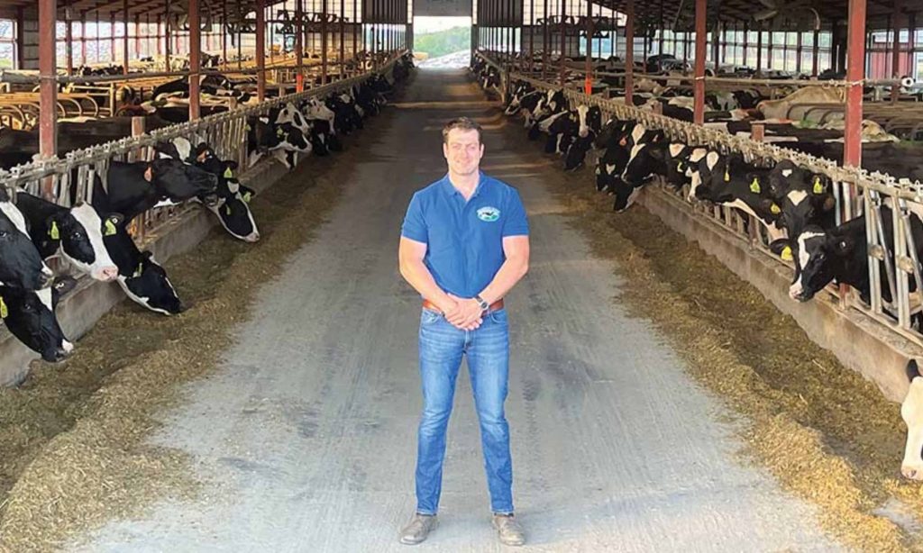 How moving to the US led to an 800-cow business