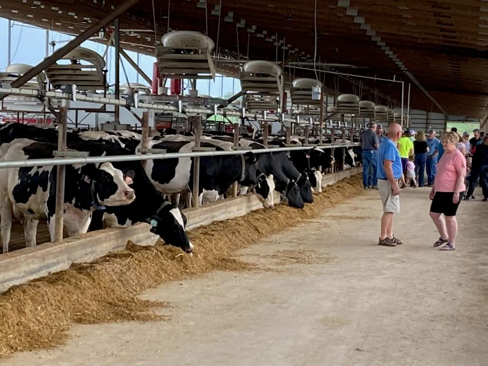 Innovative dairy farm milks hundreds of cows with robots2