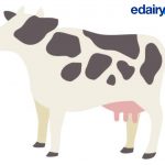 Main trends in the dairy sector