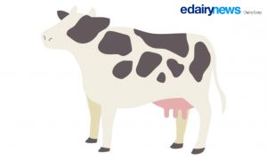 Main trends in the dairy sector