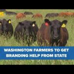 Meat, dairy, agriculture products from Washington to get a branding boost under new law