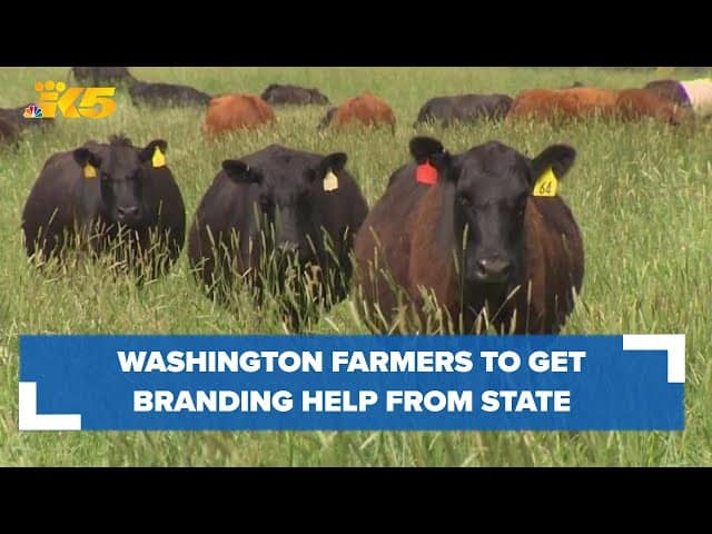 Meat, dairy, agriculture products from Washington to get a branding boost under new law