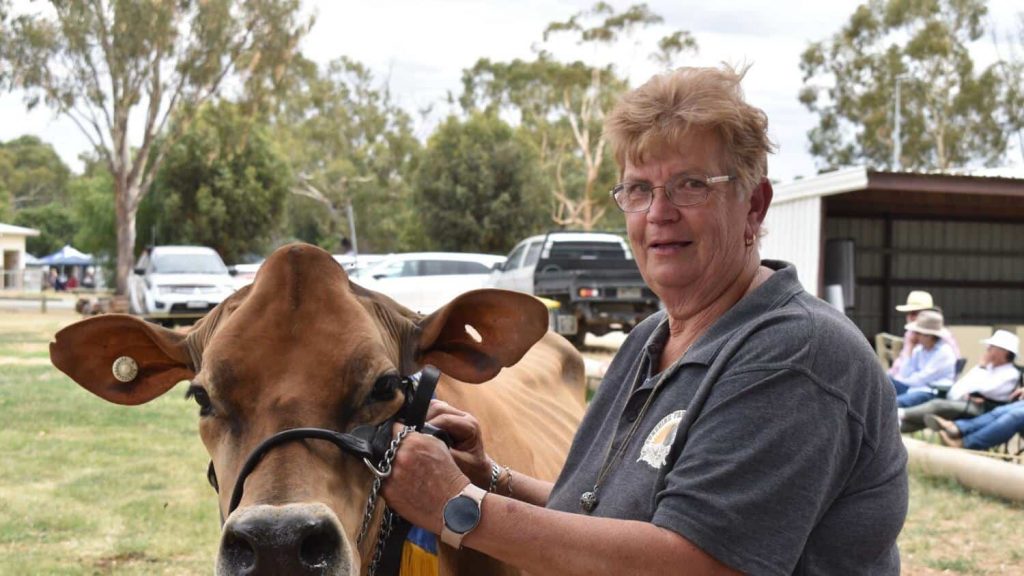 Milk prices already higher than opening offers