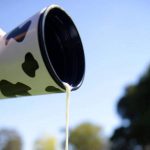 New-season farm gate milk prices announced