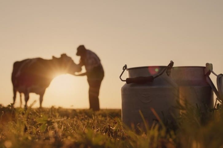 RABDF roundtable sets out plans to overcome labor crisis in UK dairy sector