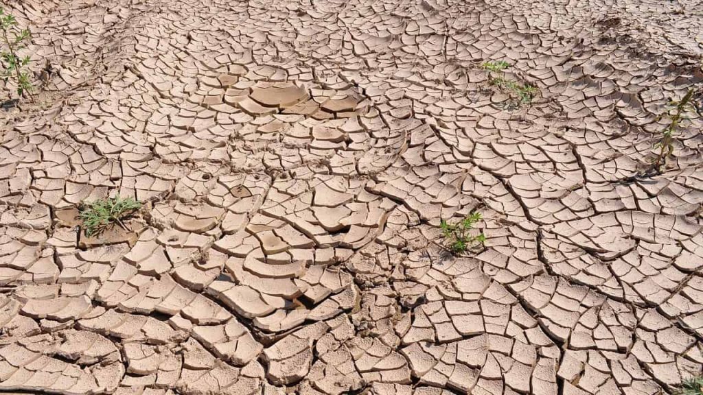 Risk of flash droughts expected to rise globally – study