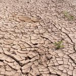 Risk of flash droughts expected to rise globally – study