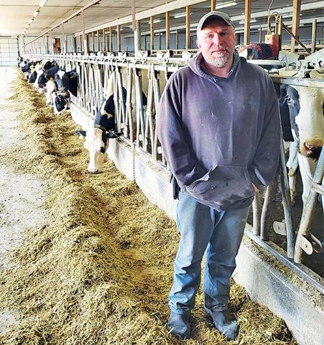 Robotic milking is keeping these two farms in dairy