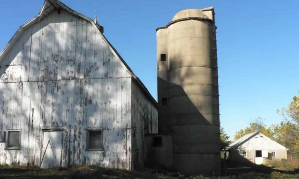 Since 1968, Wisconsin lost 64,000 dairy farms. Where did they go?