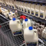 Australia's competition watchdog is considering Coles' proposed acquisition of two milk processing facilities from Saputo.