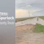 Texas Farmers Pummeled by 20 Inches of Rain, Now Major Dairy Region Too Wet to Harvest Wheat for Silage