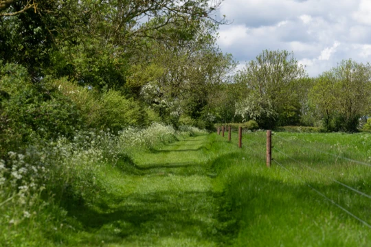 UK dairy farmers are calling on the nation to become wildlife heroes – here’s how you can help1