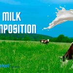 7 Types of Milk and its Composition