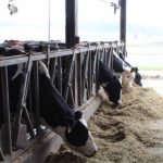 Can the dairy industry breathe a sigh of relief?