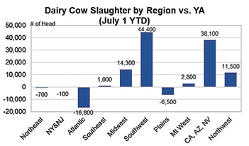 Changing dynamics of dairy margins1