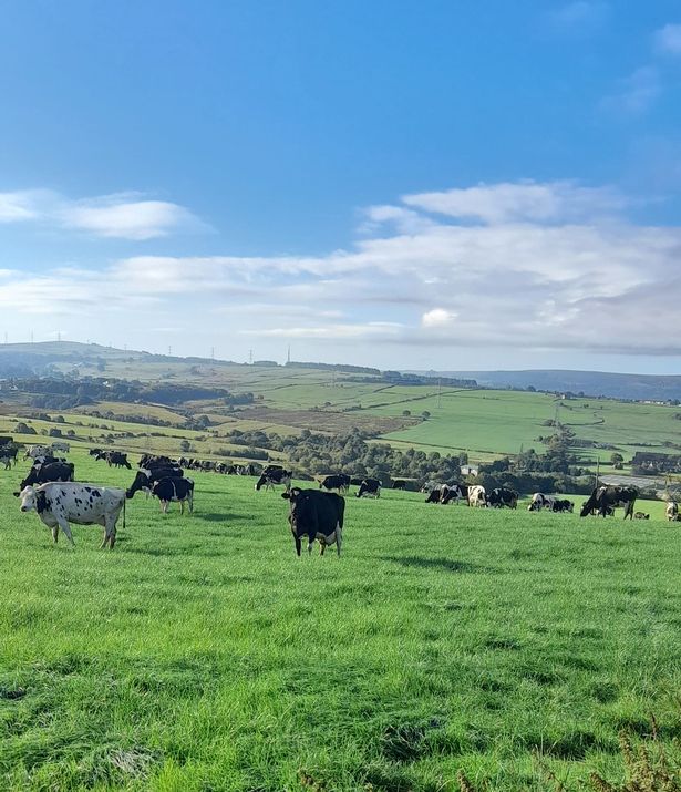 Dairy farmer speaks out on Brexit's impact on 'exodus' from the industry and cost of food2