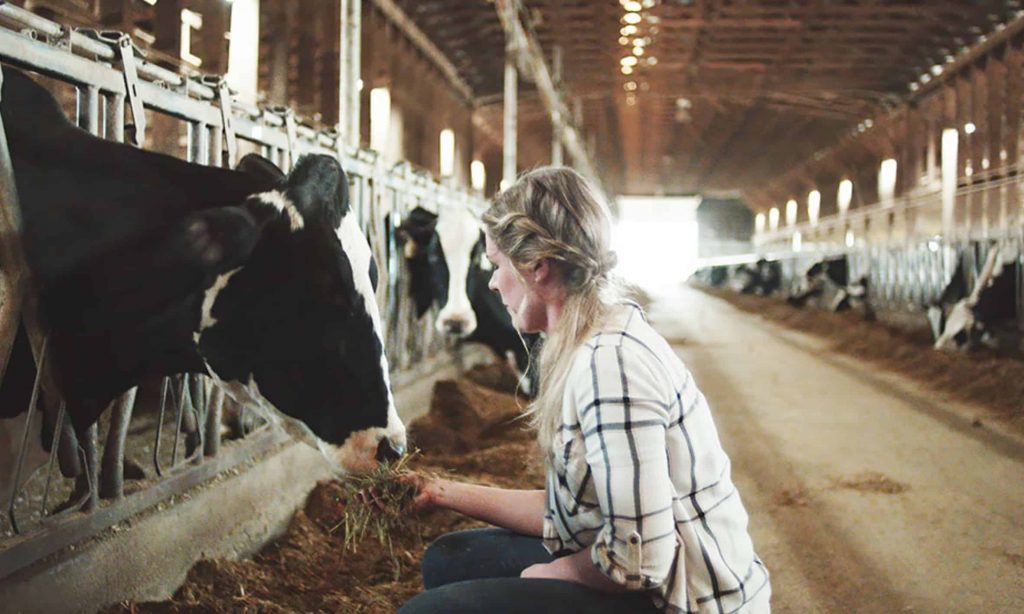 Dairy farmers across BC are coming together to support food banks