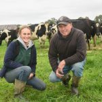 Dairy farmers welcome steady milk prices