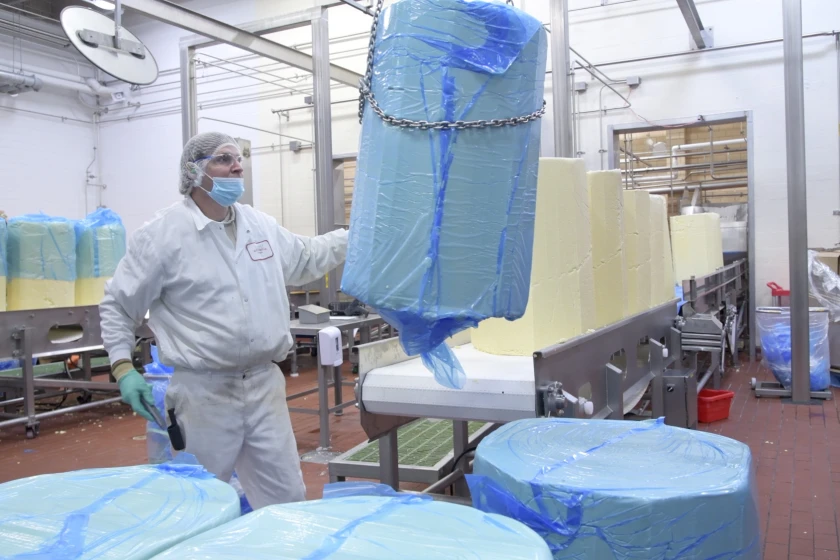 A barrel of cheese is brought in to be processed into American cheese at the Bongards location in Norwood, Minnesota