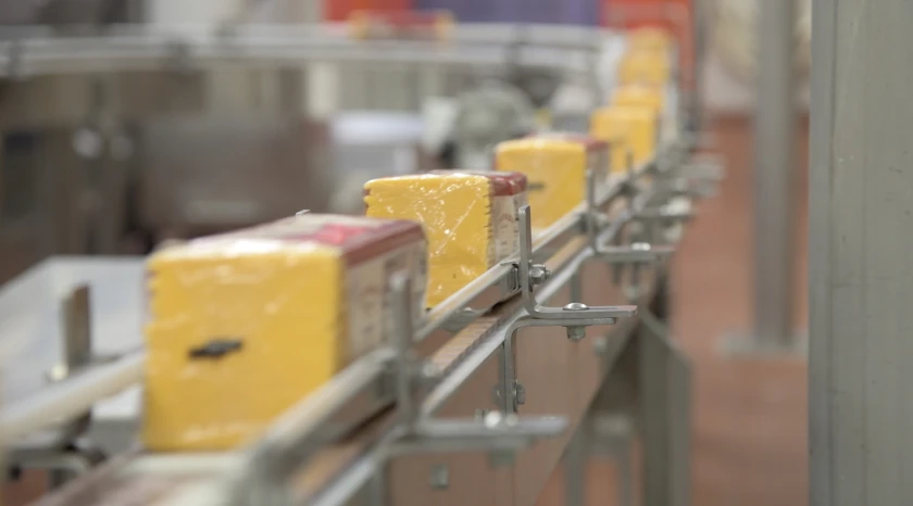 Wrapped and sliced Bongards American cheese makes it way down a conveyor system.