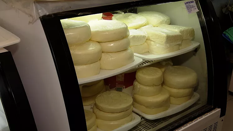 A fresh selction of traditional Georgian cheese in a fridge at a market in GeorgiaEuronews