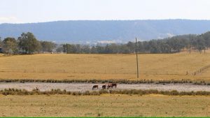 Farmers looking to destock or handfeed as drought conditions approach, a year on after catastrophic floods