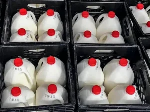 Federal Milk Marketing Orders need overhaul