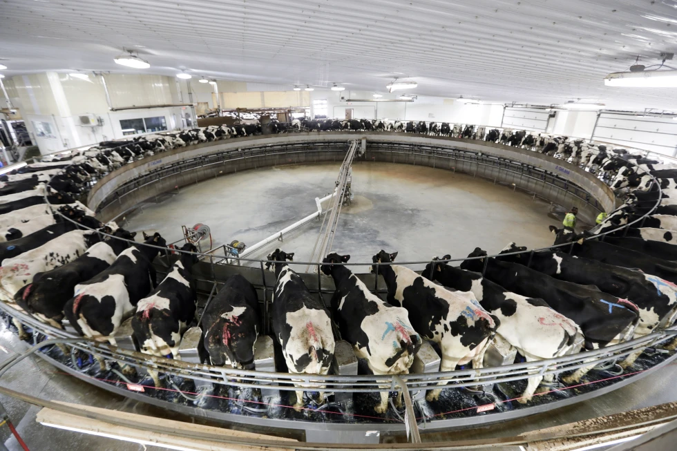 Groups argue Wisconsin regulators can’t make factory farms obtain preemptive pollution permits