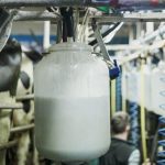 A Lakeland spokesperson commented that dairy markets "have remained uncertain over the past month, with demand for products subdued".