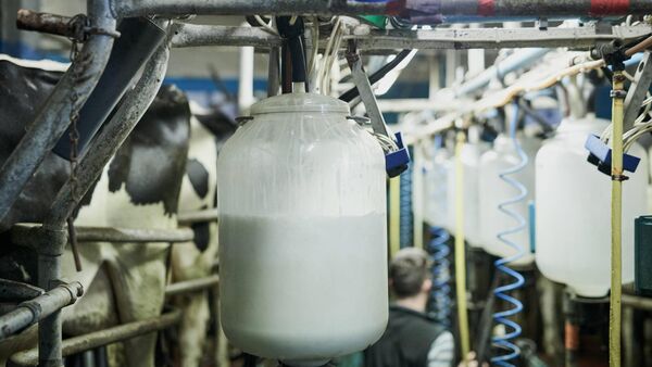 A Lakeland spokesperson commented that dairy markets "have remained uncertain over the past month, with demand for products subdued".