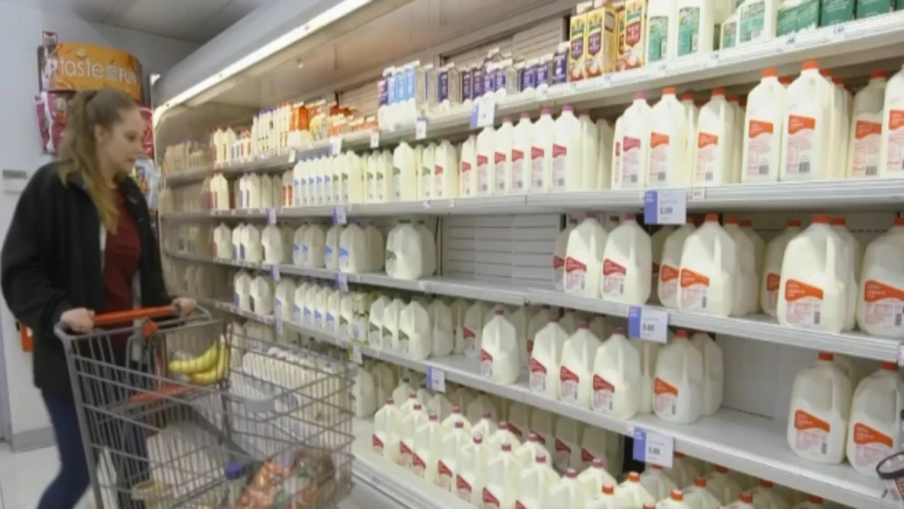 Milk prices expected to rise after recent oversupply