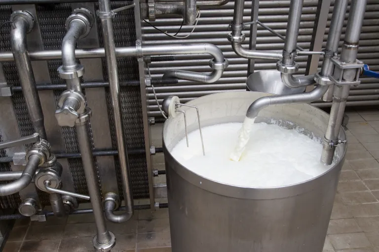 More Milk Output Projected for 2024 and Lower Prices