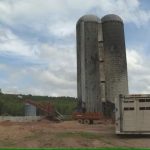 N.B. family reeling after barn fire decimates dairy herd