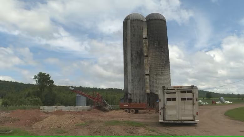 N.B. family reeling after barn fire decimates dairy herd