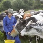 New regulations to promote fairness and transparency for dairy sector