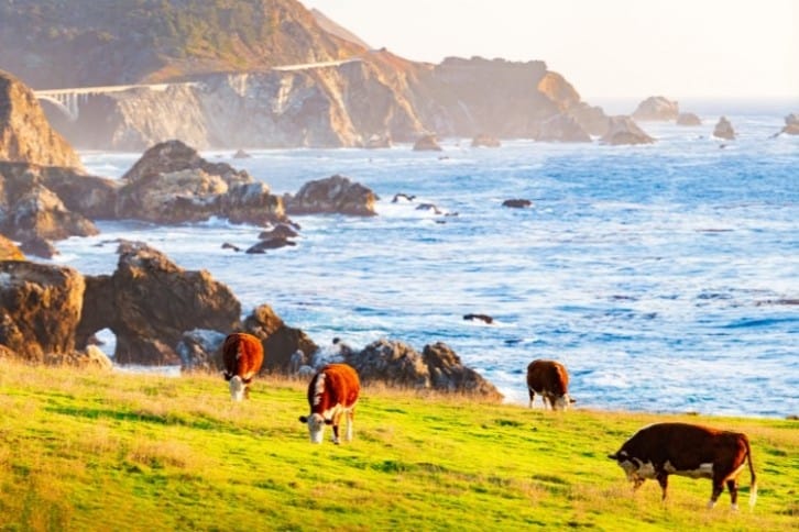 Pacific Coast Coalition initiative awards over $4m to West Coast dairy businesses