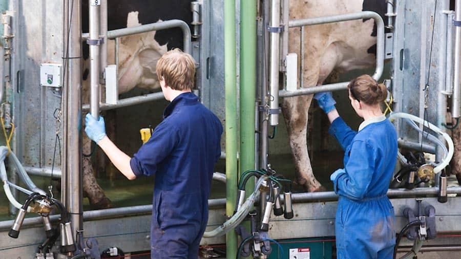 Processors hold milk prices into August and September