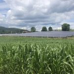 Vermont contractor brings needed savings to dairy farmers with community solar