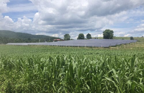 Vermont contractor brings needed savings to dairy farmers with community solar