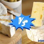 Brie vs. Camembert