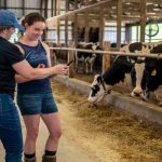 Cow-tech-news-feature