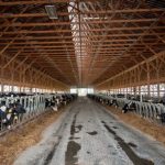 Dairy Farmers Get $16 Million Boost in House Bill