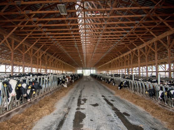 Dairy Farmers Get $16 Million Boost in House Bill